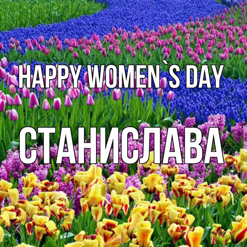 Greetings card с именем, Станислава happy women`s day цветы Greetings with text for free download 